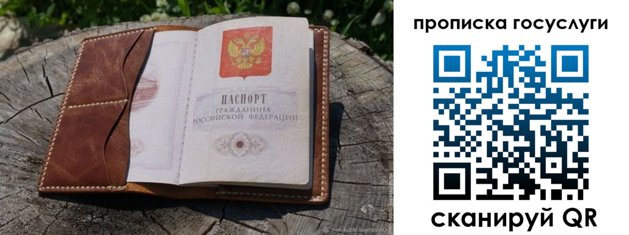 прописка для школы в Аркадаке